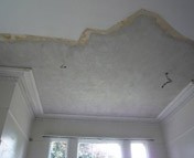Lime Plastering and Pointing